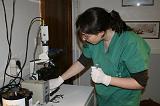 INSEMINATION ARTIFICIELLE 007